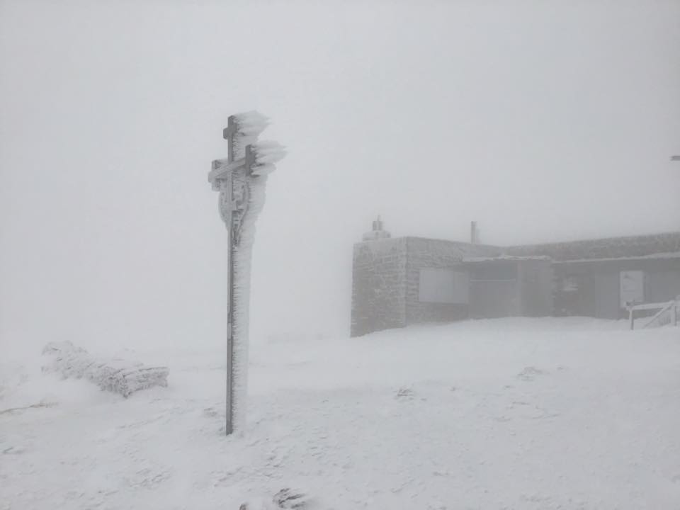 В українських Карпатах намело до пів метра снігу 