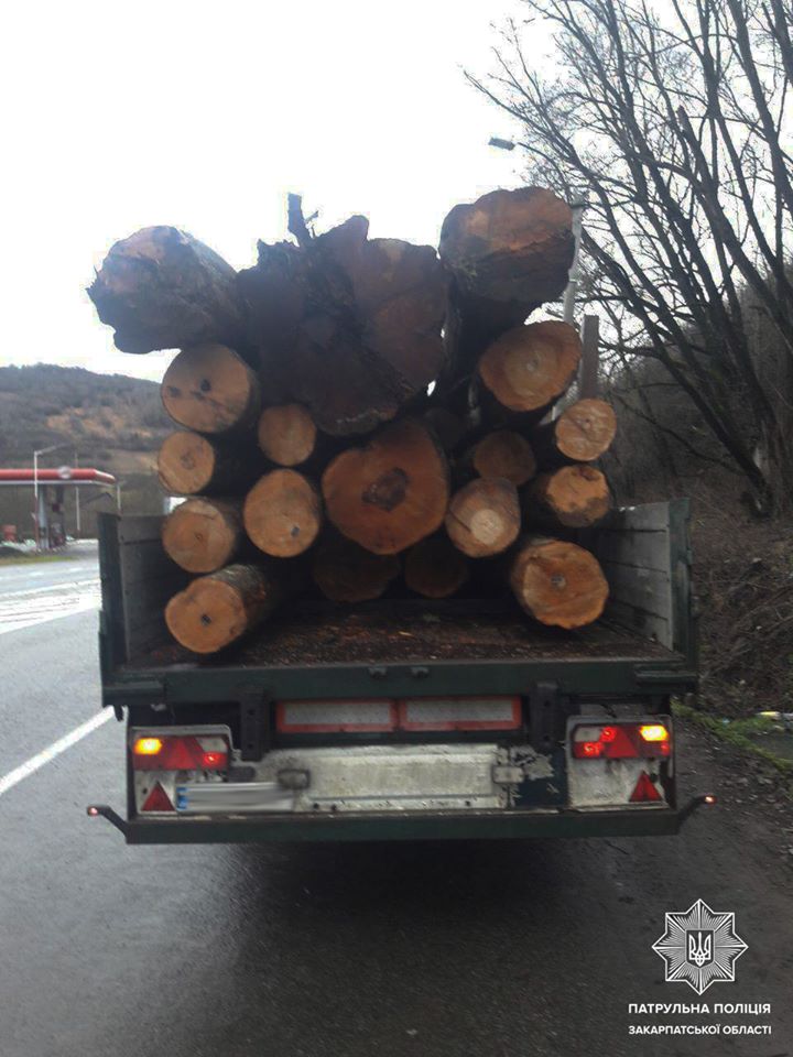 На Закарпатті зупинили вантажівку із сумнівною деревиною (ФОТО)