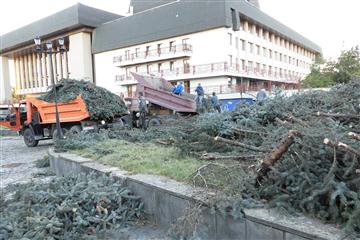 Суд в Ужгороді розгляне апеляцію забудовників по зеленій зоні перед облмуздрамтеатром