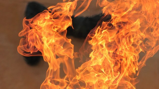 Під час нічної пожежі у Дубовому на Тячівщині загинув власник будинку