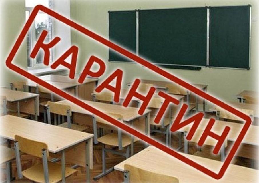 У навчальних закладах Виноградівщини продовжили карантин (ВІДЕО)