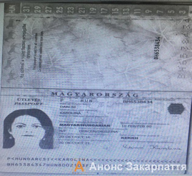 За спробу перетину кордону за угорським паспортом керівниця фракції КМКС у Берегівській міськраді відповість у суді