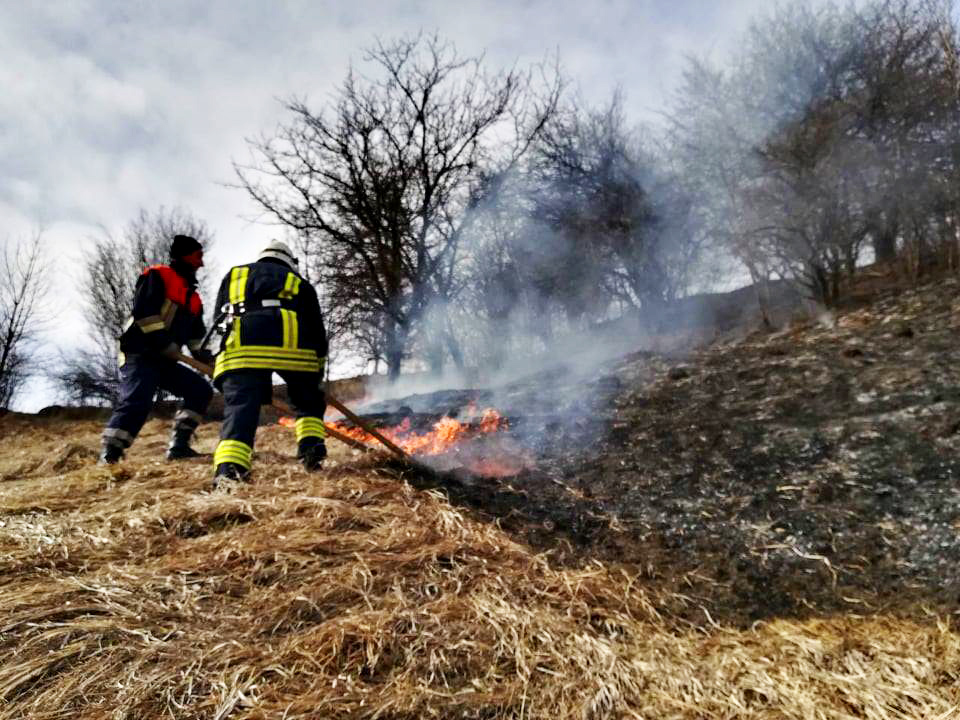 В Ужгороді через загорання сухостою ледь не згорів житловий будинок (ФОТО)