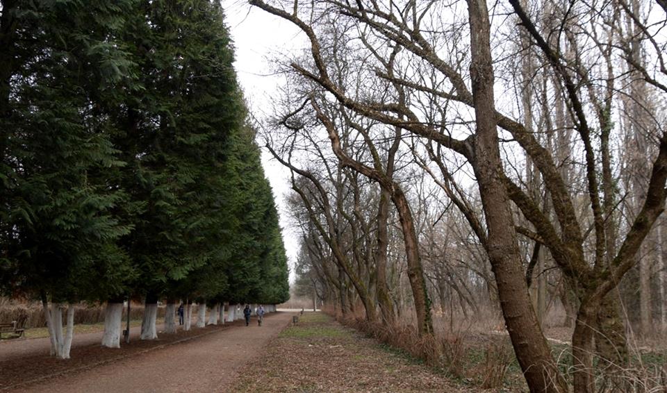 В Ужгороді планують розробити проект організації території Боздоського парку (ФОТО)