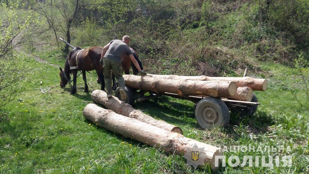 На Перечинщині затримали селян, що вантажили на підводу крадений ліс (ФОТО)