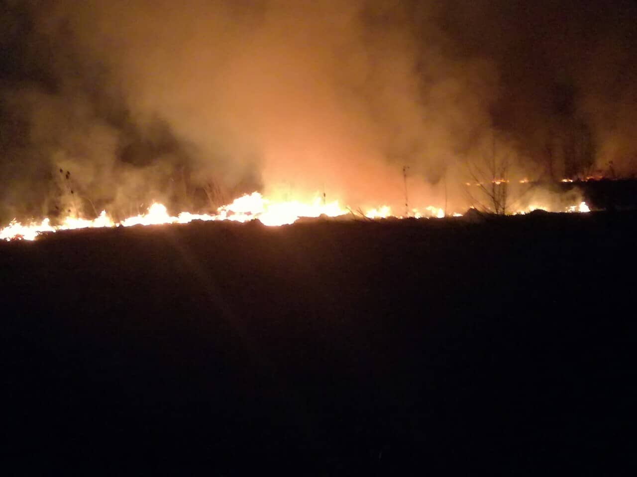 Закарпаття й надалі потерпає від пожеж в екосистемах, вогонь від підпалів вже дістався до  лісових угідь (ФОТО)