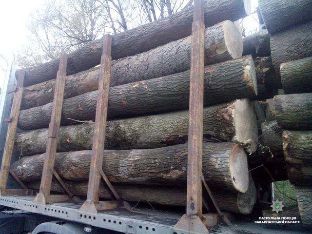На Воловеччині затримали МАN із деревиною з невідповідною документацією (ФОТО)