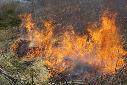 На Іршавщині лісівники моніторять пожежі з висоти пташиного польоту (ВІДЕО)