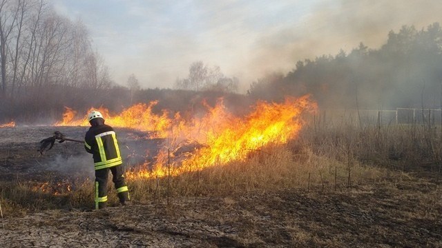 В Ужгороді під час гасіння пожежі сухостою виявили тіло людини