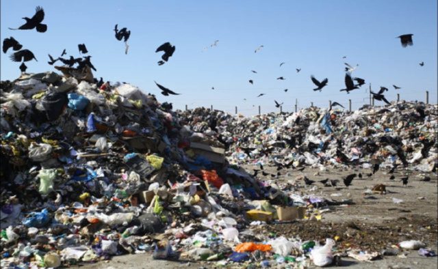 У пошуках металобрухту на сміттєзвалищі на Львівщині під завалами сміття загинув мешканець Закарпаття