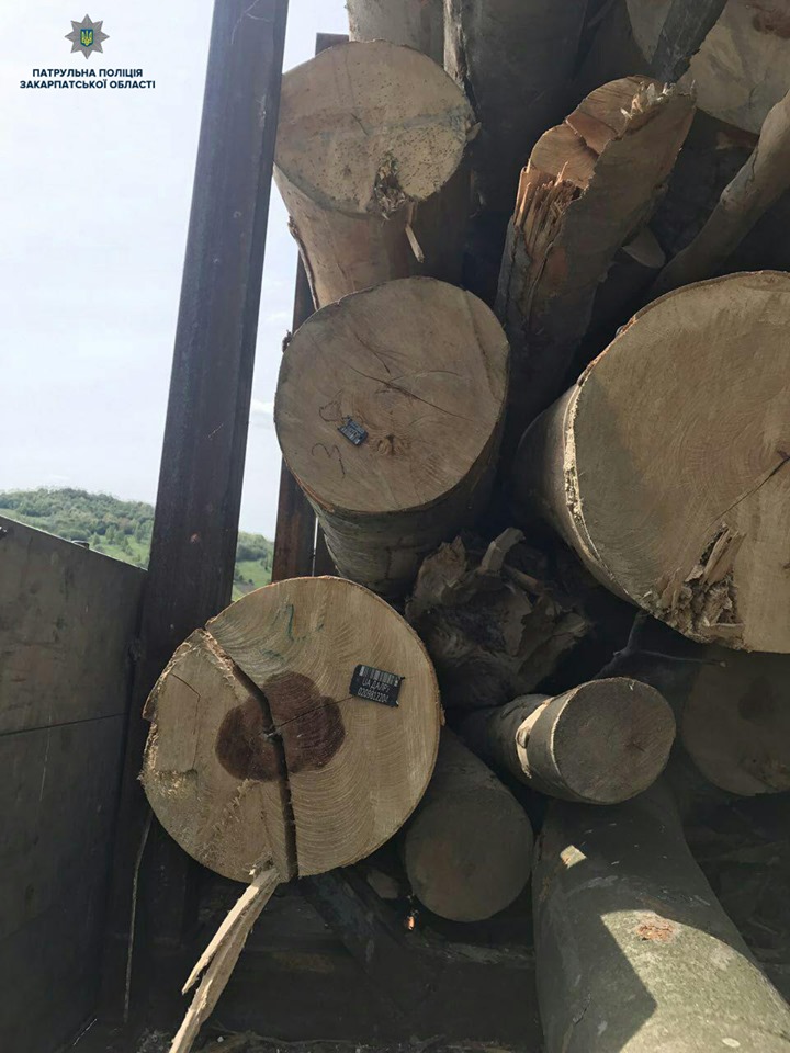 На Закарпатті виявили вантажівку з деревиною без відповідних документів (ФОТО)