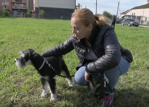 У Мукачеві безкоштовно щеплювали домашніх та безпритульних тварин (ВІДЕО)