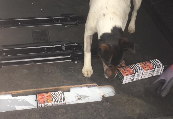 У ПП "Косино" у мікроавтобусі "Форд Торнео" собака прикордонників виявив контрабандні сигарети (ФОТО, ВІДЕО)