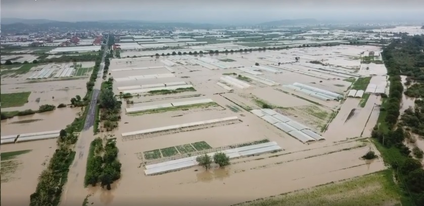 Затоплені водою парники у Великих Ком'ятах на Виноградівщині показали з висоти пташиного польоту (ВІДЕО)