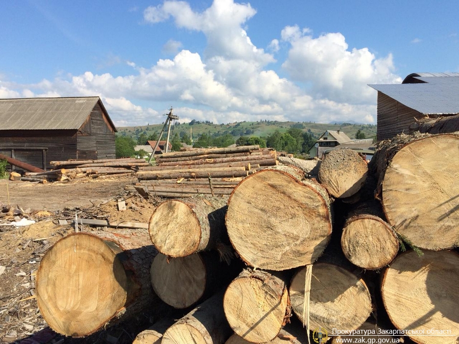 На Закарпатті викрили схему розкрадання деревини посадовцями лісової охорони лісгоспу (ФОТО)