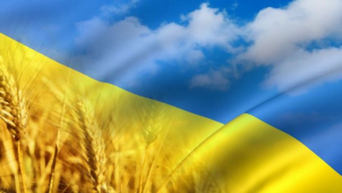 Назустріч Дню Незалежності України в Ужгороді представлять низку тематичних виставок
