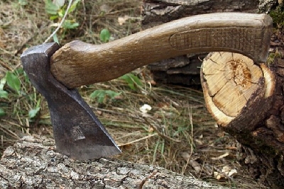 На Тячівщині зареєстровано провадження стосовно службовців лісгоспу, що допустили незаконну порубку на понад 1,2 млн грн
