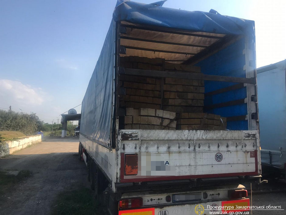 На Закарпатті викрили схему незаконного вивезення деревини за кордон (ФОТО)