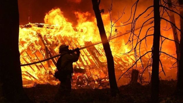 Масштабну пожежу у Виноградові локалізували, рятувальникам допомагали місцеві мешканці 