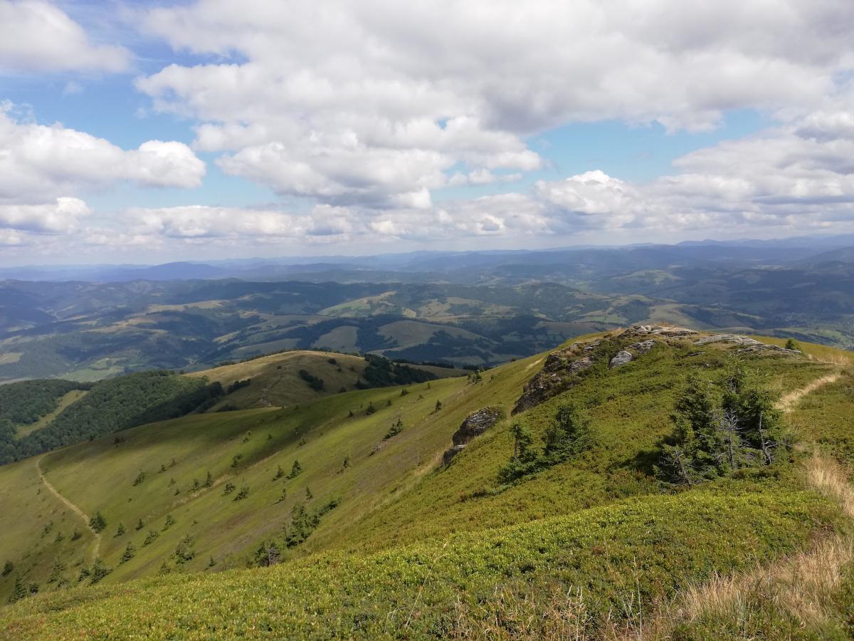 Полонина Боржава: ідеальний хайкінг для початківців і поціновувачів неспішних гірських прогулянок