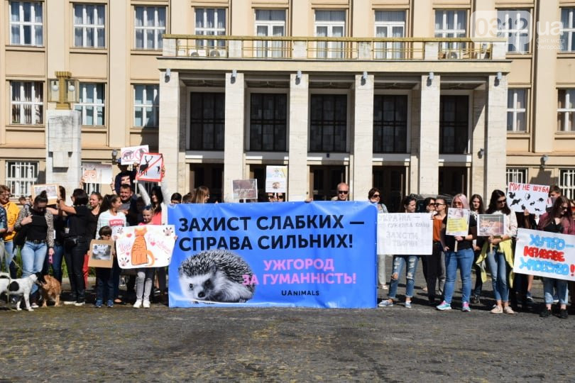 В Ужгороді втретє пройшов марш за права тварин (ФОТО, ВІДЕО)