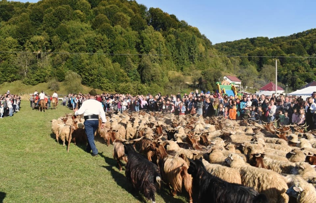 У Липецькій Поляні на Хустщині відбувся фестиваль "Полянський салаш" (ФОТО)