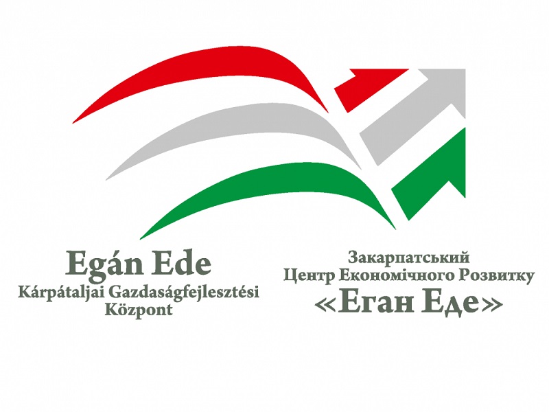 СБУ у судовому порядку отримала доступ до всіх документів закарпатського фонду "Еган Еде"