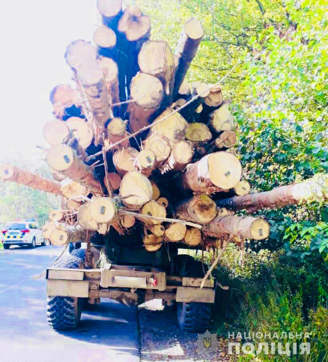 На Тячівщині та на Іршавщині затримали вантажівки з деревиною (ФОТО)