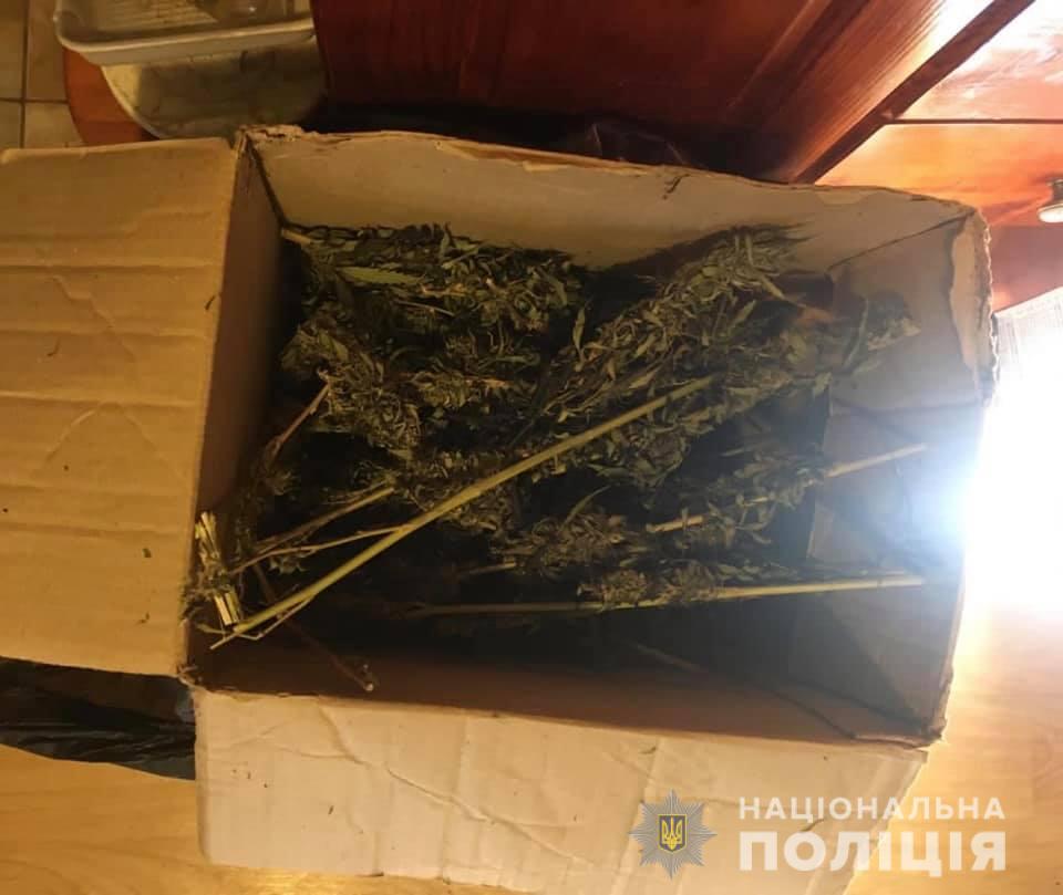 У підсобному приміщенні та на подвір’ї мешканця Оноківців на Ужгородщині виявили 3 кг марихуани (ФОТО)