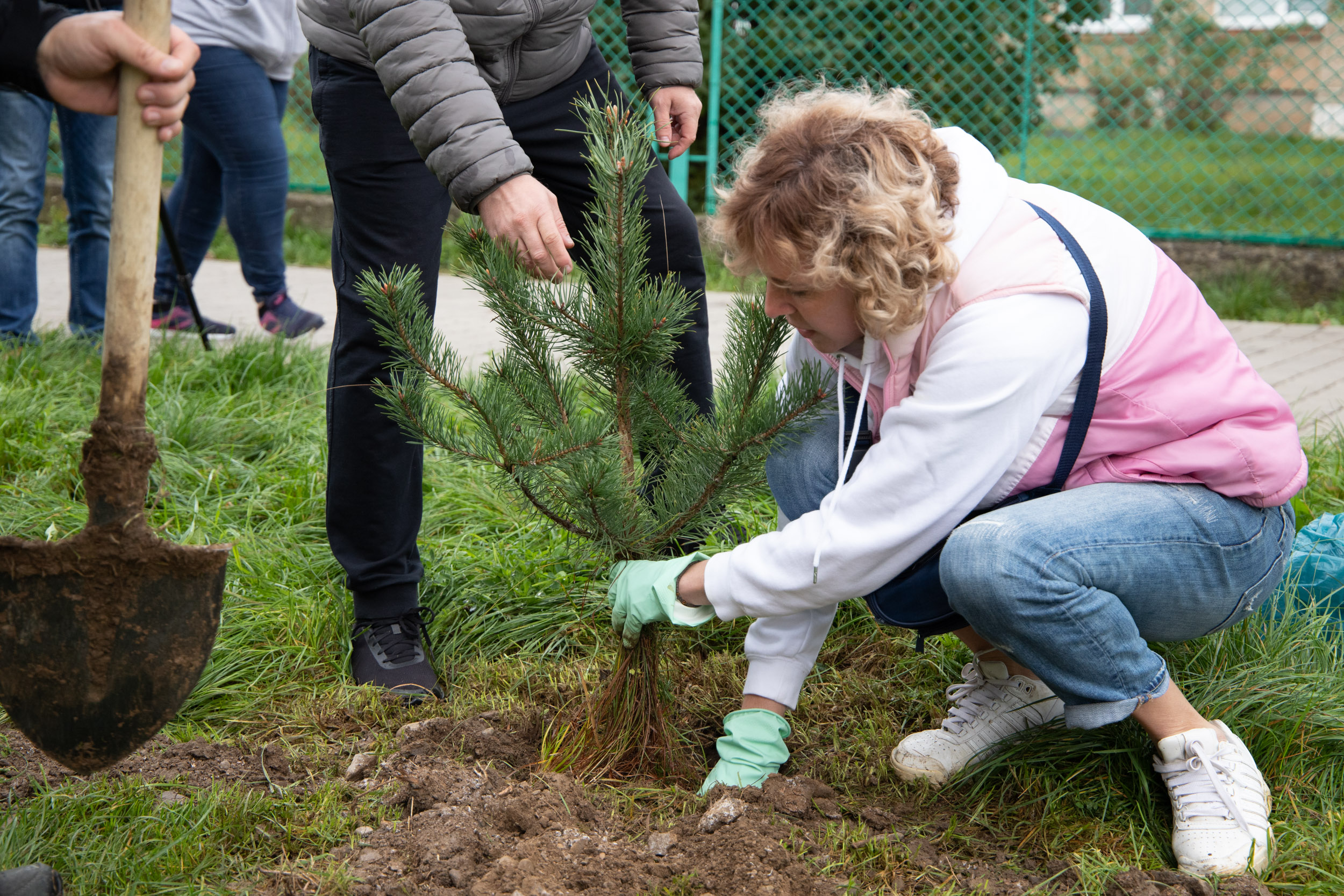 В Ужгороді відзвітували про висаджені сьогодні 1500 дерев (ФОТО)