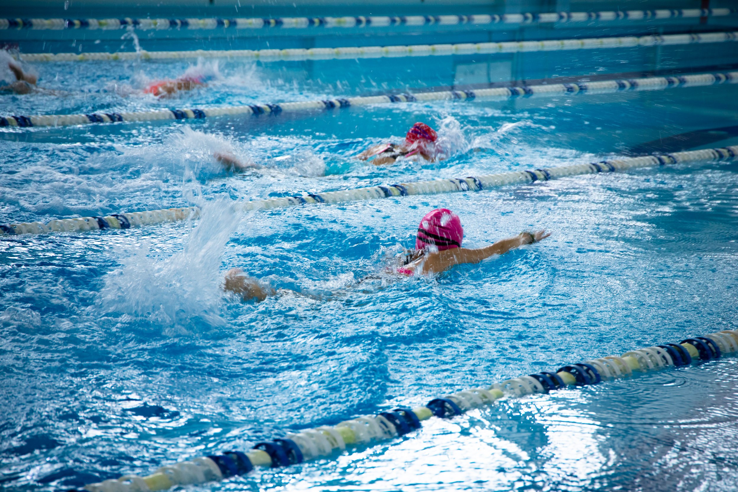 В Ужгороді стартувала першість Ужгорода з плавання серед юнаків та дівчат (ФОТО)