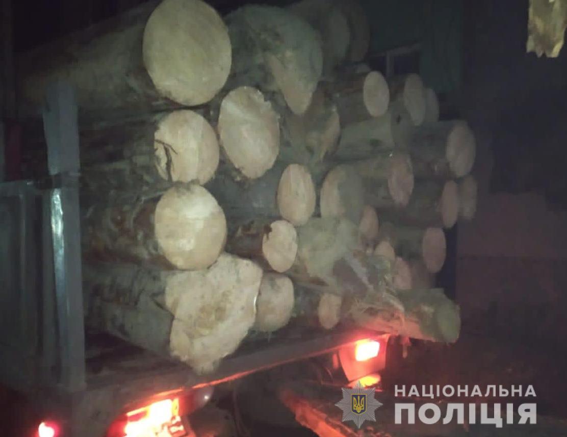 На Рахівщині зупинили вантажний автомобіль, який перевозив нелегальну деревину (ФОТО)(ФОТО) 