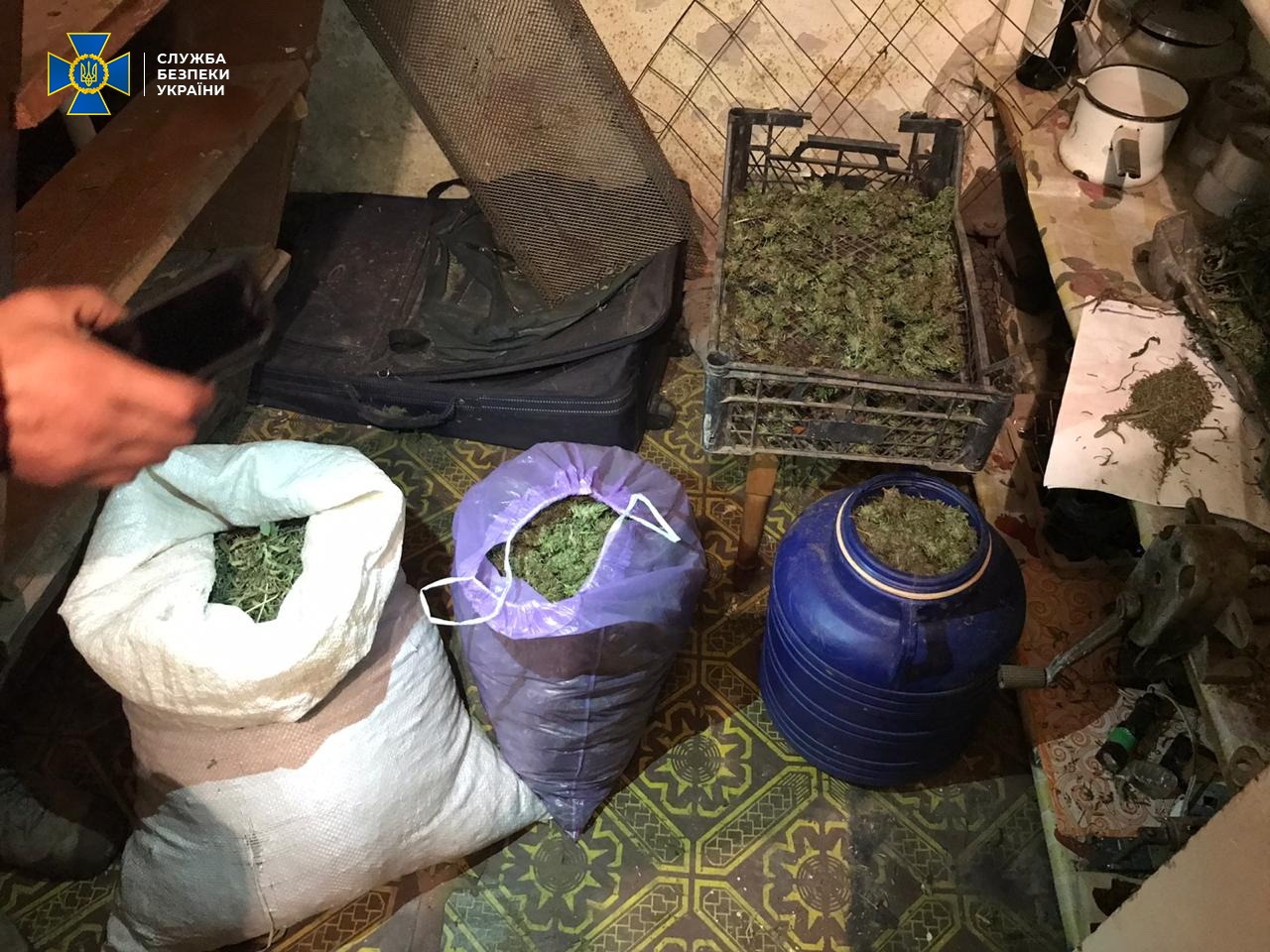 На Закарпатті блокували діяльність групи наркоторговців, виявивши при обшуках 15 кг марихуани (ФОТО)