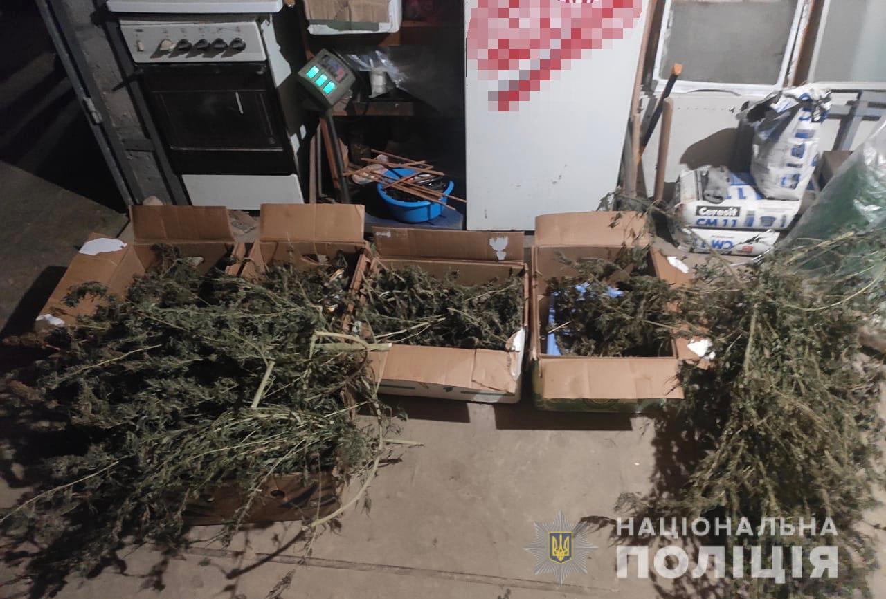 Понад 2 кг конопель знайшли у помешканні жителя Мукачівщини (ФОТО)