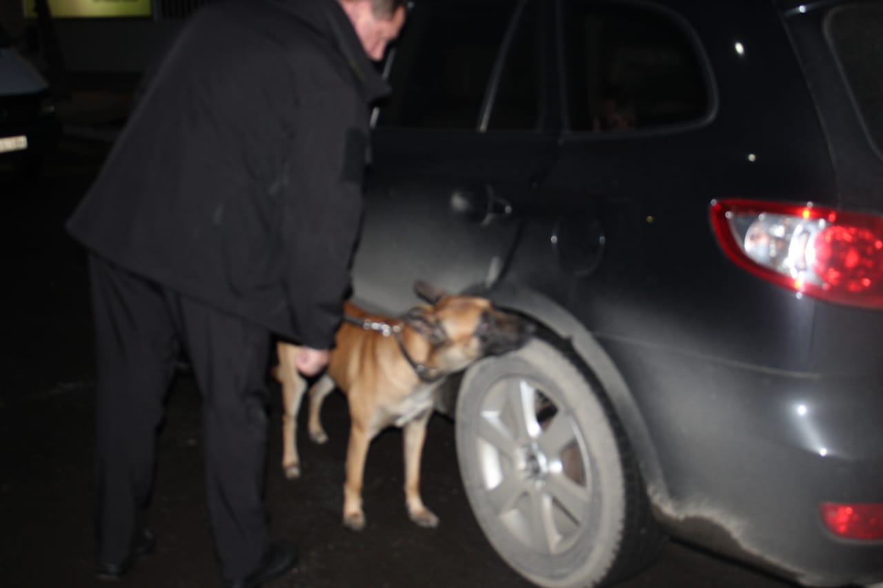 В МП "Лужанка" собака Сем виявив в авто молдовського дипломата 350 блоків сигарет (ФОТО)