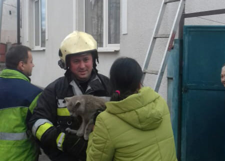 У Хусті рятувальники знімали з даху переляканого собаками кота (ФОТО)