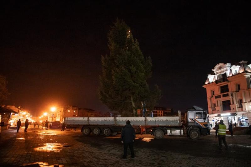 В Ужгороді встановили 12-метрову міську ялинку (ФОТО, ВІДЕО)