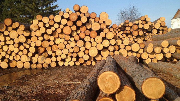 Арбітраж виніс позитивне для України рішення у справі суперечки з ЄС щодо лісу-кругляка