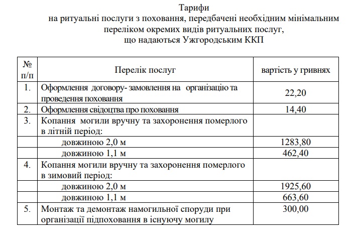 Вартість платних медичних послуг в Ужгородському пологовому будинку зросте на 10% (ВІДЕО)