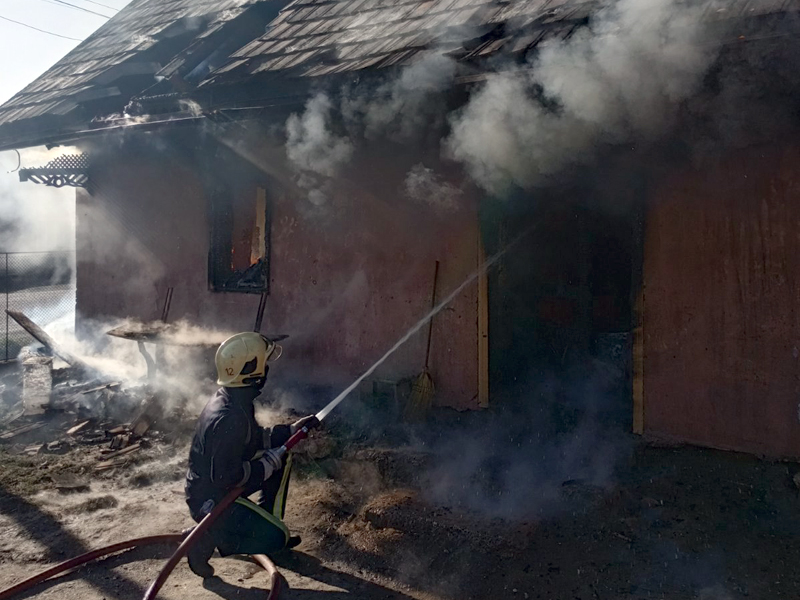 На Берегівщині професійні й добровільні пожежники разом приборкали пожежу в будинку (ФОТО)