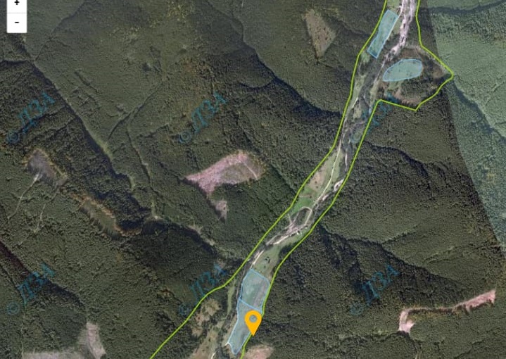 Привласнені землі лісгоспу на Тячівщині пов'язані з ексголовою райради Фабрицієм та скандальним курортом Свидовець