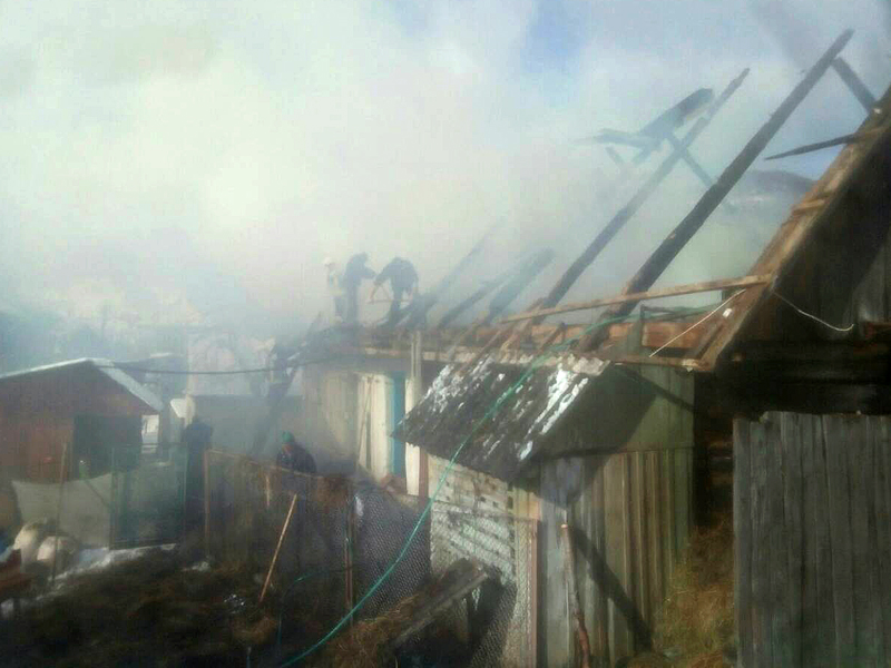 На Великоберезнянщині жінка, розтопивши піч, відтак викликала пожежних гасити дах будинку (ФОТО)