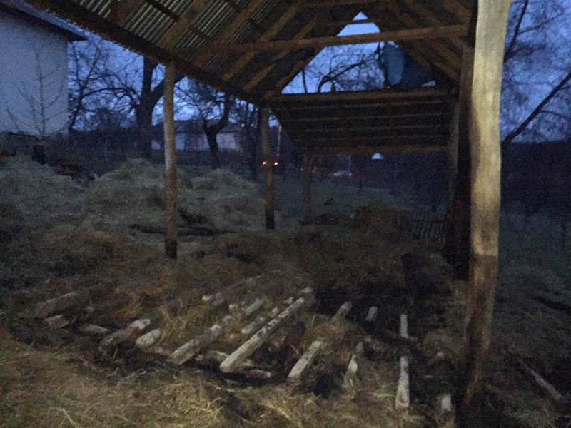 В Іршавському районі через дитячі пустощі з вогнем горіли навіси з сіном (ФОТО)