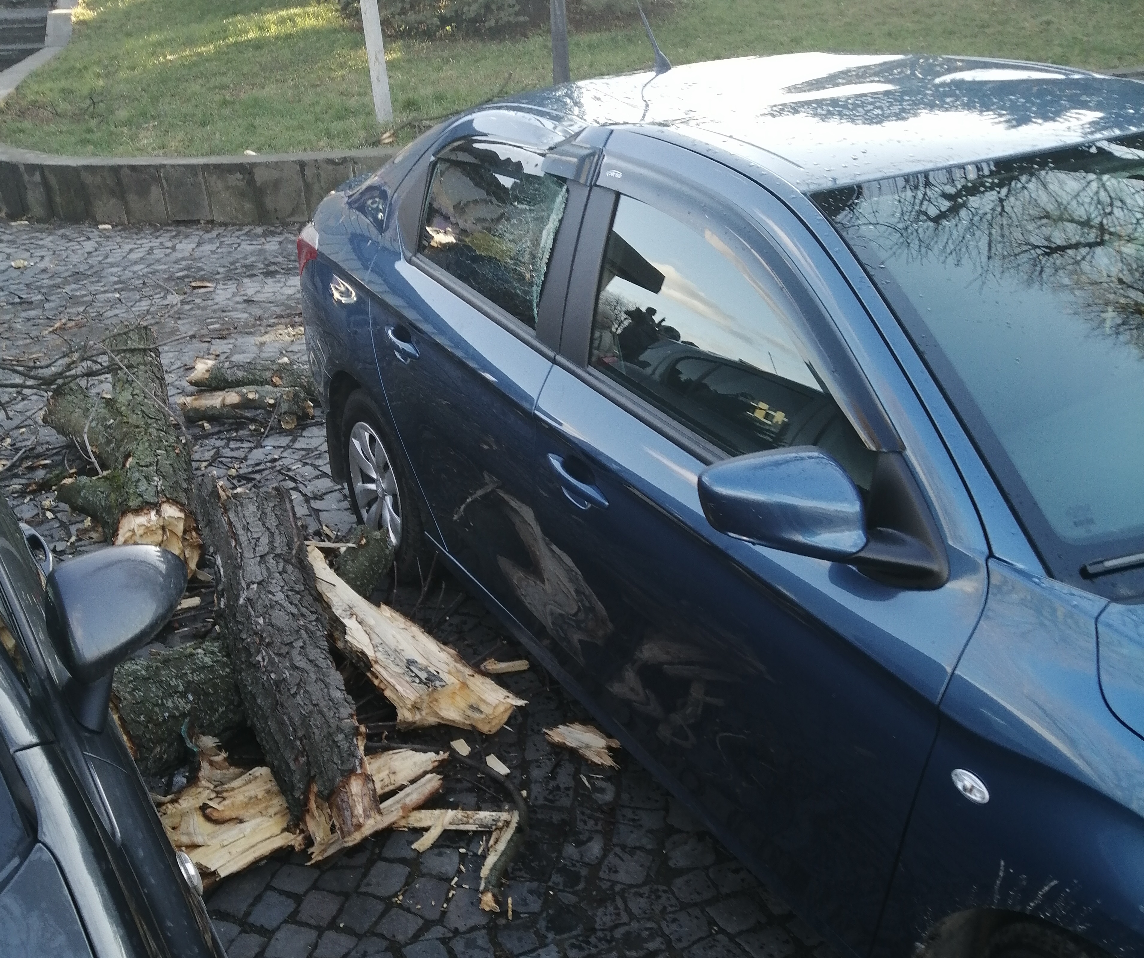 ФОТОФАКТ. В Ужгороді товста гілка дерева впала на автівку