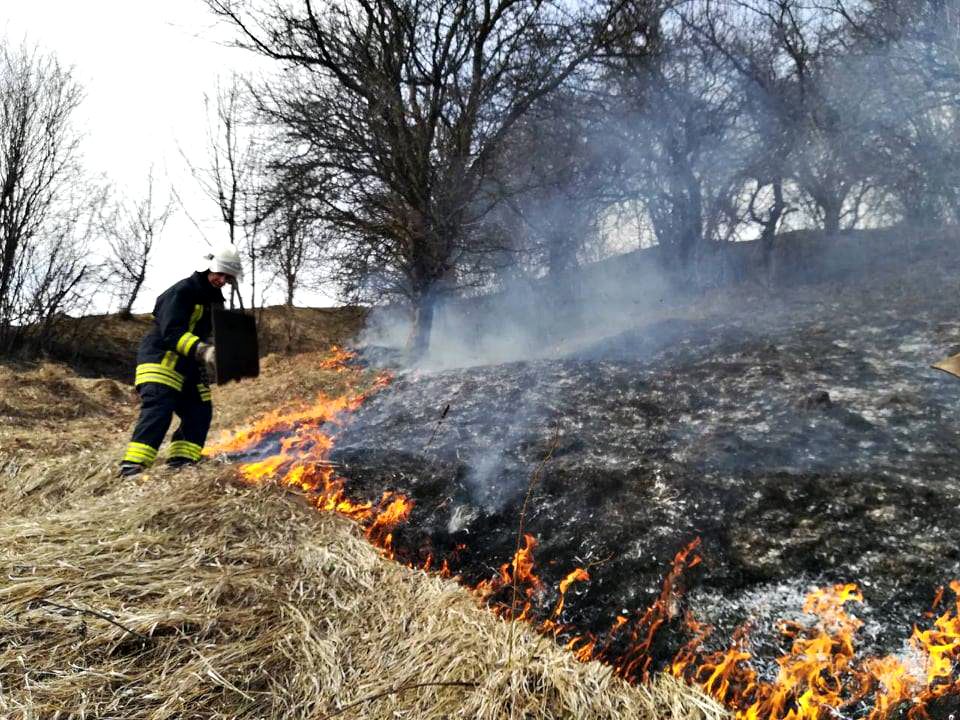 Рятувальники на Закарпатті закликають припинити спалювання сухої рослинності: з початку року – 100 випадків пожеж в екосистемах (ФОТО)
