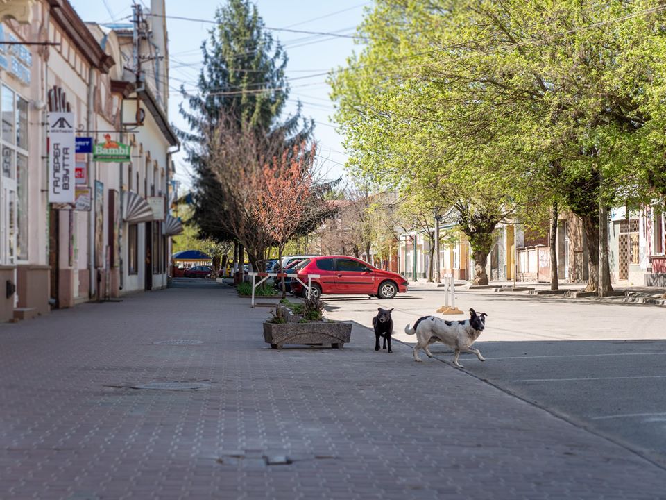 ФОТОФАКТ. Берегово теж без людей на вулицях