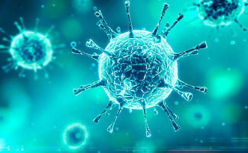 На Закарпатті станом на неділю, 19 квітня, коронавірус виявлено у 182 осіб