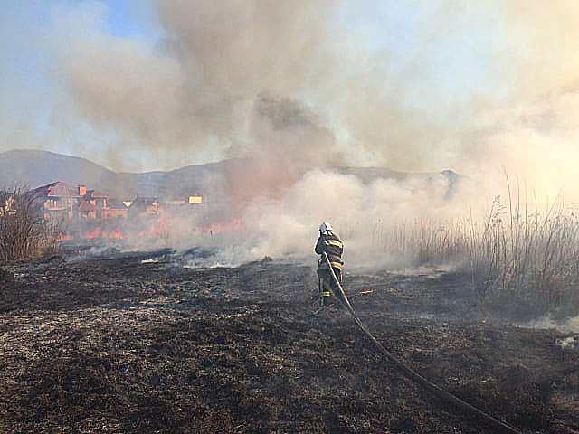 Два десятки пожеж в екосистемах за добу ліквідували на Закарпатті (ФОТО)