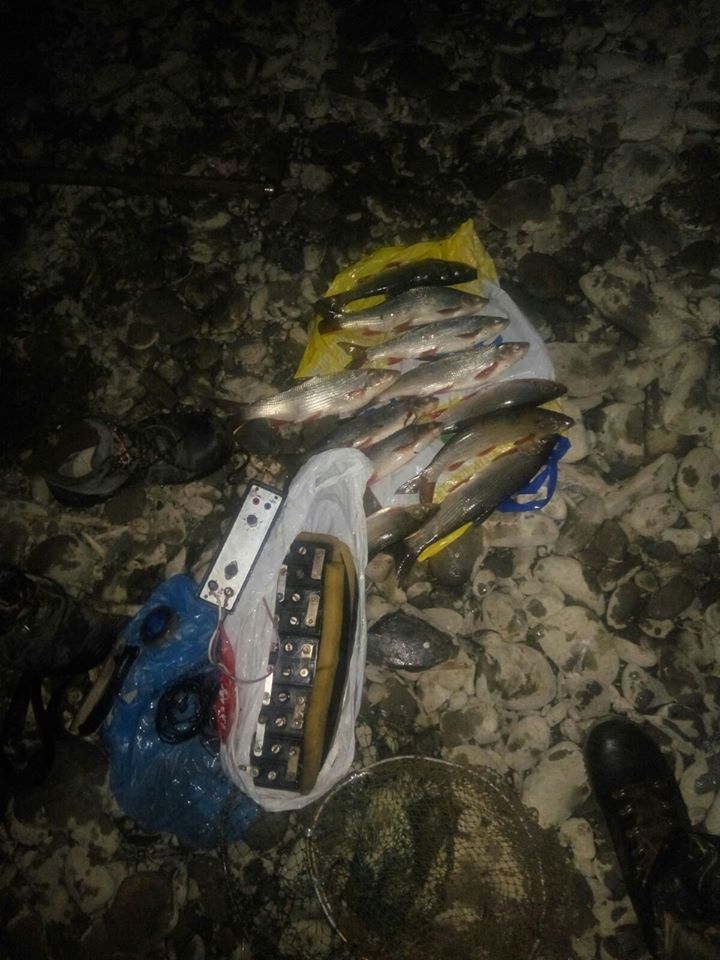 На Закарпатті затримали чоловіка, що електровудкою виловив із Латориці 3 кг риби (ФОТО)