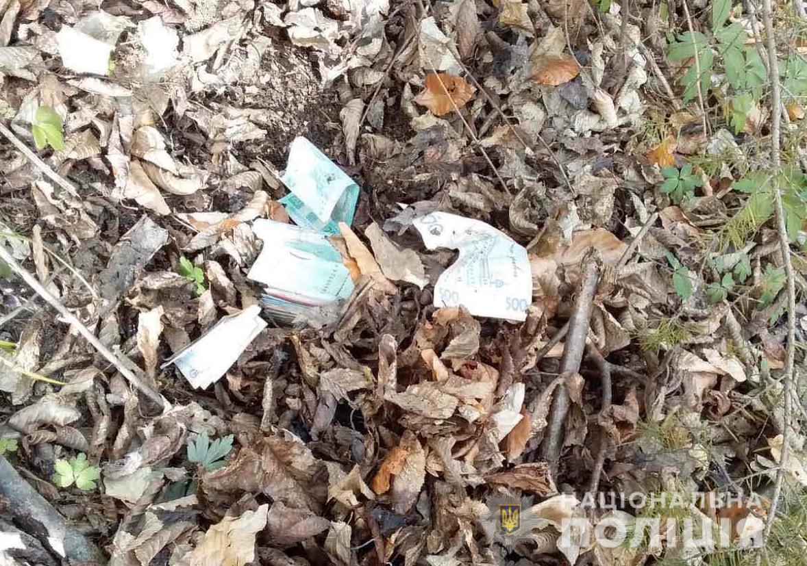 На Свалявщині двоє підлітків викрали з магазину гроші і сховали їх, закопавши в лісі 